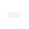 Peinture light gray mat 20 ml