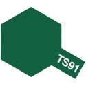 Peinture TS91 Vert foncé JGSDF 100 ml