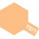 Peinture TS77 Chair mat 100 ml