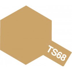 Peinture TS68 Beige pont mat 100 ml