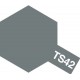 Peinture TS42 Gris clair métal brillant 100 ml
