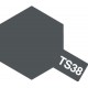 Peinture TS38 Gris acier brillant 100 ml