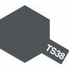 Peinture TS38 Gris acier brillant 100 ml