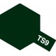 Peinture TS9 Vert Anglais brillant 100 ml