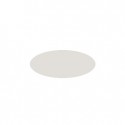 Peinture Gull gray mat 20 ml