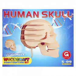 Construction en bois – Crâne humain de la marque Woodcraft (412396)