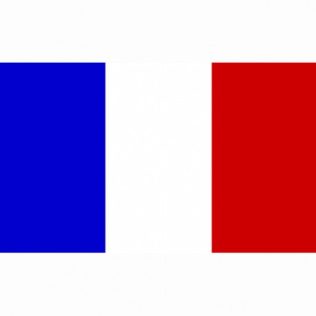 Drapeau "France", 101 Inc