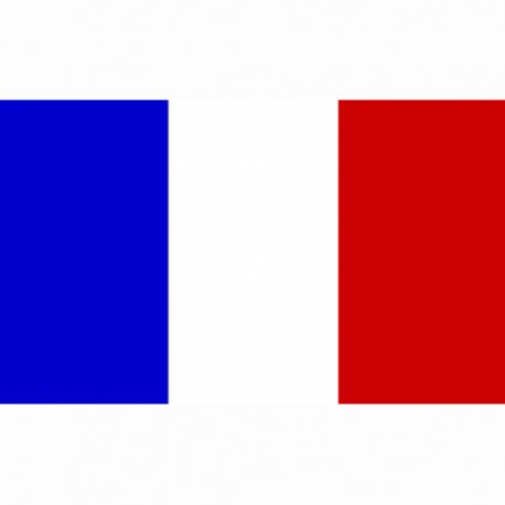 Drapeau "France", 101 Inc