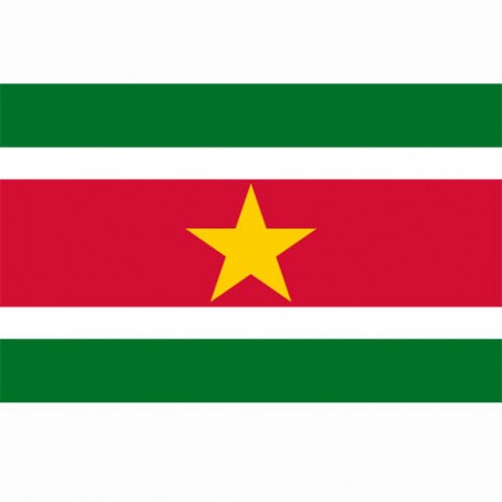 Drapeau "Suriname", 101 Inc
