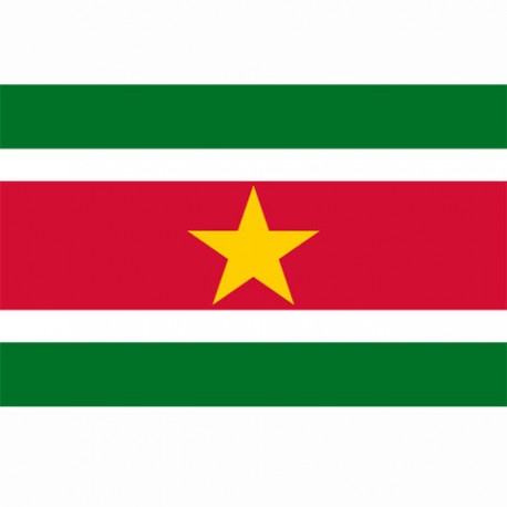 Drapeau "Suriname", 101 Inc