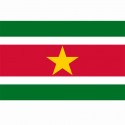 Drapeau Suriname