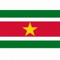 Drapeau Suriname