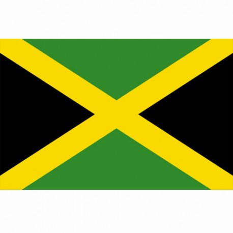 Drapeau "Jamaique", 101 Inc