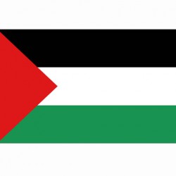 Drapeau "Palestine", 101 Inc