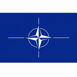 Drapeau "Nato", 101 Inc