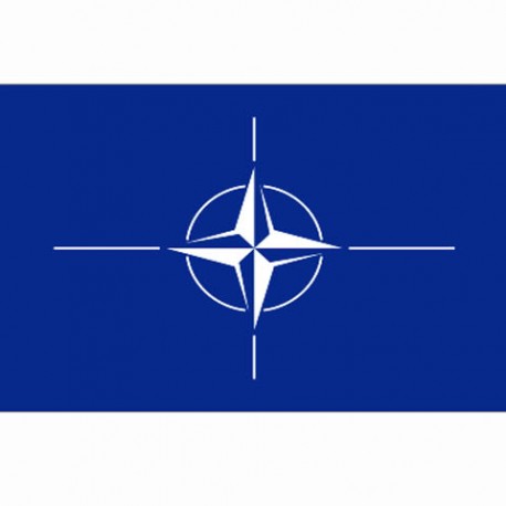 Drapeau "Nato", 101 Inc