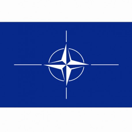 Drapeau "Nato", 101 Inc