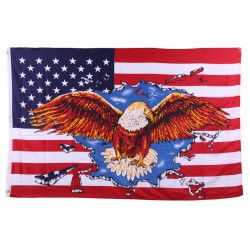 Drapeau USA avec aigle