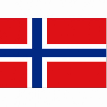 Drapeau "Norvège", 101 Inc