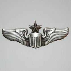 Badge "Wing senior pilot", 101 Inc