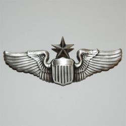 Badge Wing senior pilot