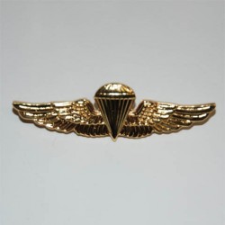Badge Wing marine jumper doré