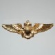 Badge "US navy pilot wing", 101 Inc