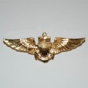 Badge US navy pilot wing