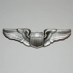 Badge "US airforce pilot", 101 Inc