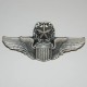 Badge "Wing commanding pilot", 101 Inc