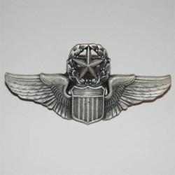 Badge Wing commanding pilot