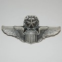 Badge Wing commanding pilot