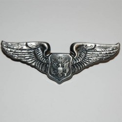 Badge "Wing airforce", 101 Inc