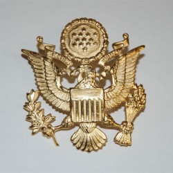 Badge "USAF", 101 Inc