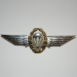 Badge "German parawing", 101 Inc