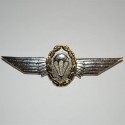 Badge German parawing