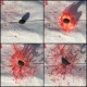Grenade à peinture | Enola Gaye